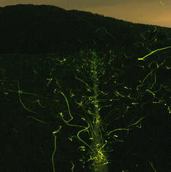 �������ڂ̗�ؔ_��,�R�`���đ�s